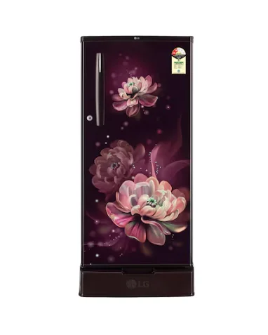 LG 2 STAR 185L SINGLE DOOR REFRIGERATOR ( GLD1925XOWB )